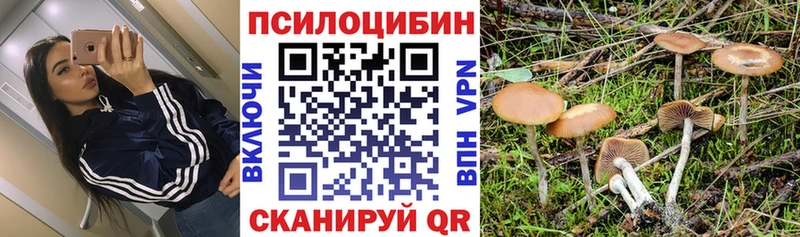 Галлюциногенные грибы прущие грибы  Купить  Бирюсинск 