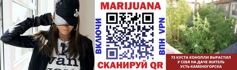 Купить закладки  Бирюсинск  Конопля планчик 